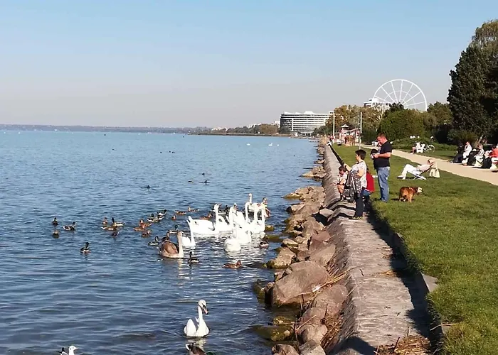 In 1 * Siófok